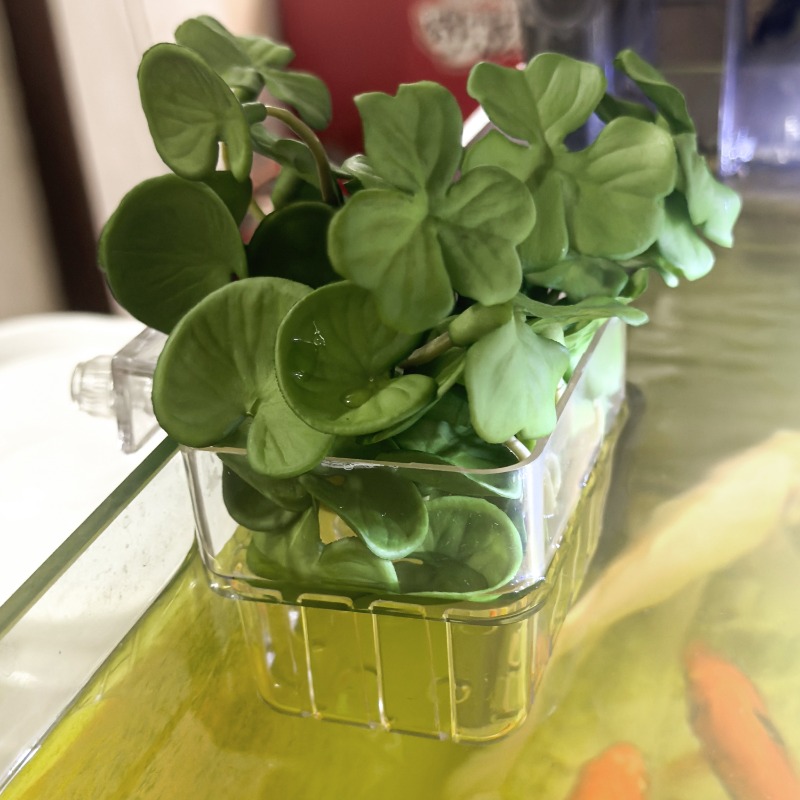 1/5pcs Aquarium Decoration Pla - Marine Aquarium Tanks のレビューと価格