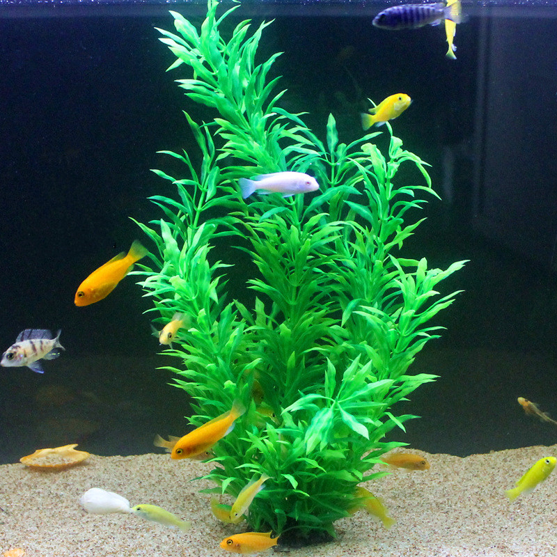 50CM Artificial Fish Tank Rare - Marine Aquarium Tanks のレビューと価格
