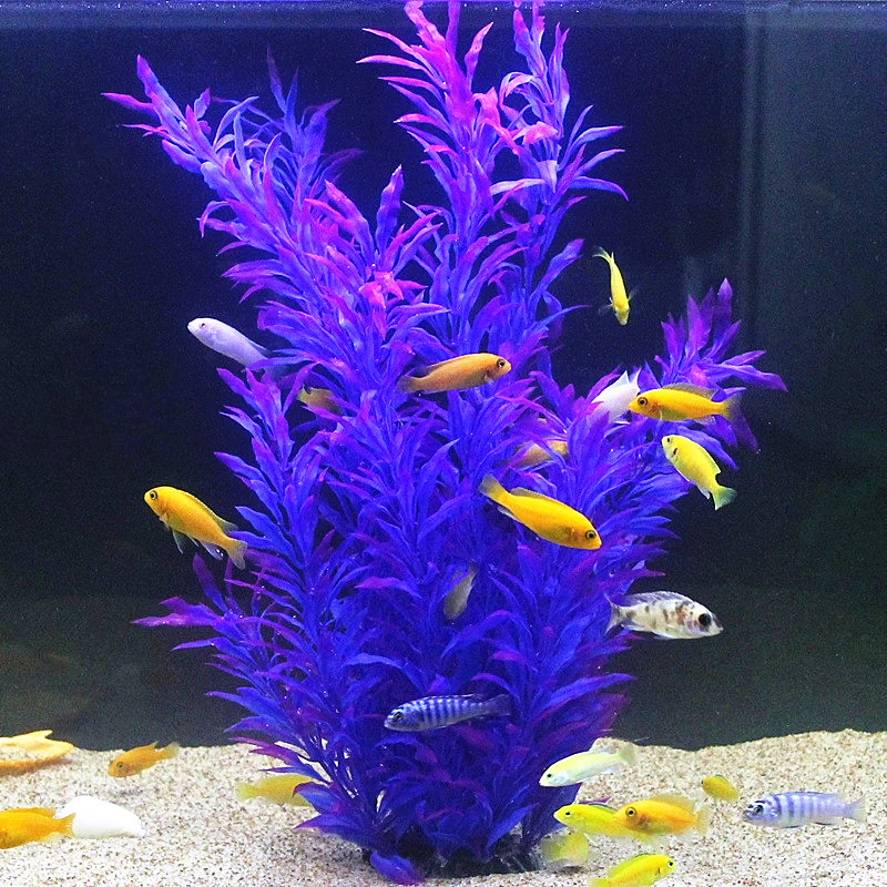 50CM Artificial Fish Tank Rare - Marine Aquarium Tanks のレビューと価格