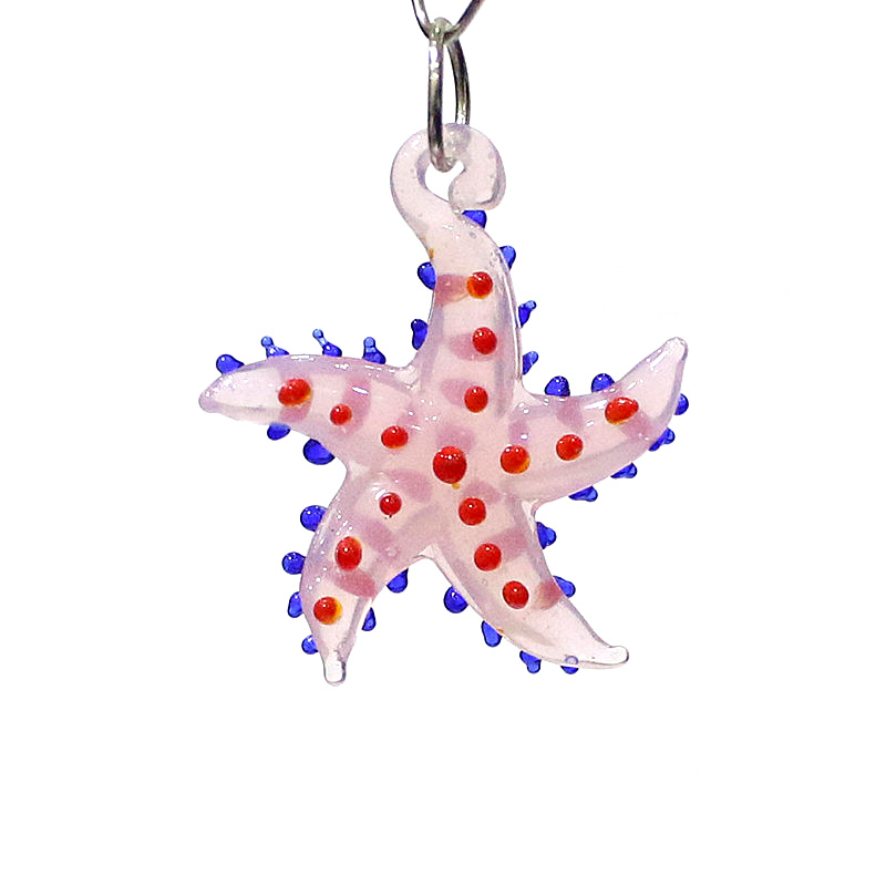 Cute Marine Animal Starfish Ch - Marine Aquarium & Regional Centre のレビューと価格