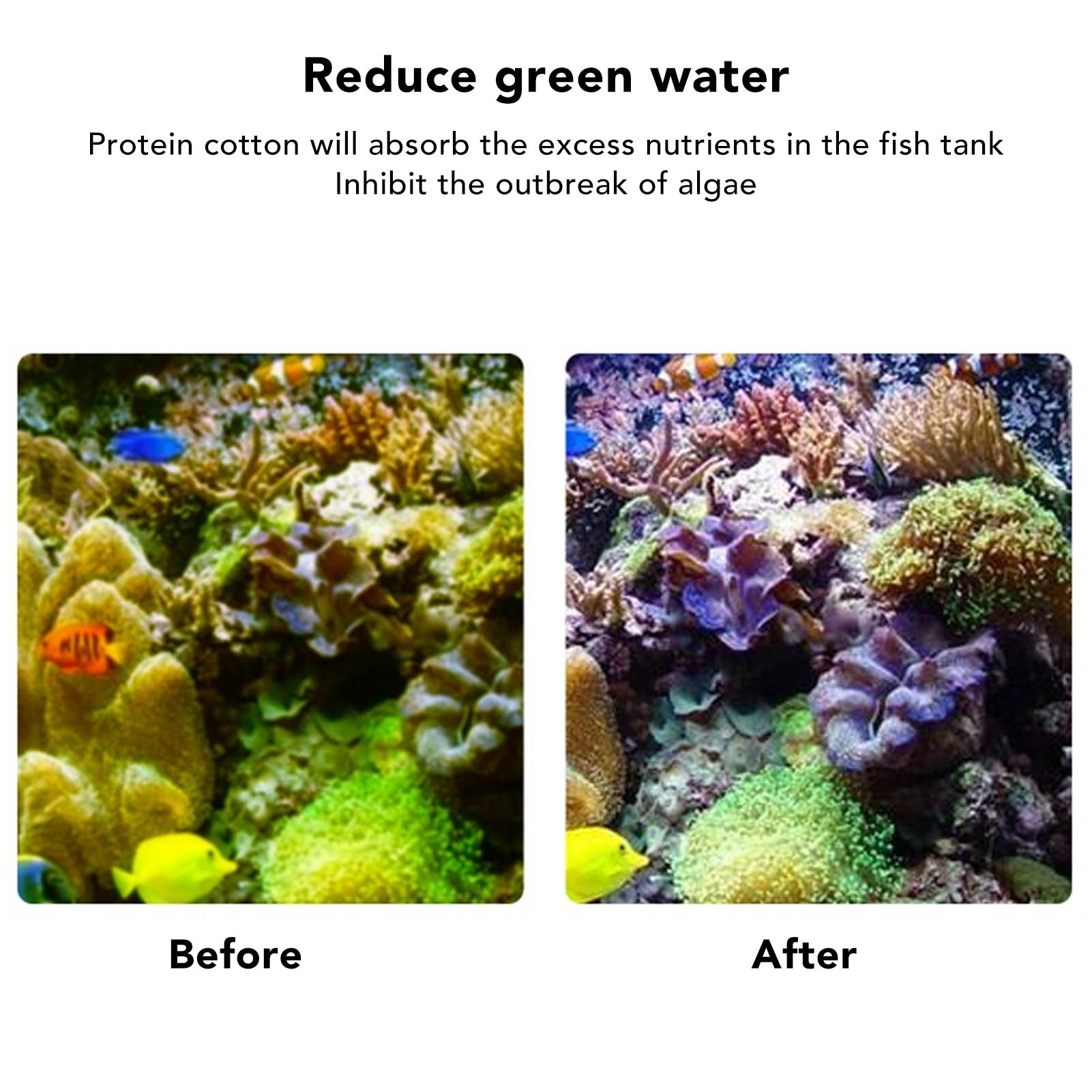 Fish  Filter Resin Aquarium Fi - Marine Aquarium Water Change のレビューと価格