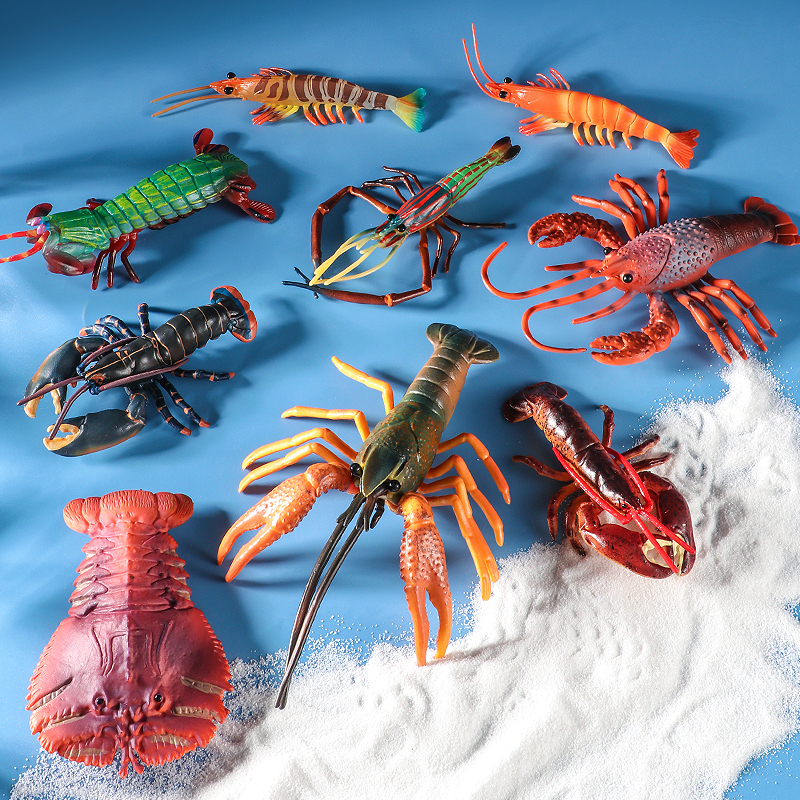 Sea Life Animals Boston Lobste - Marine Life Aquariums のレビューと価格