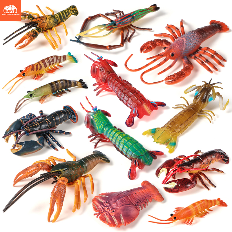 Sea Life Animals Boston Lobste - Marine Life Aquariums のレビューと価格
