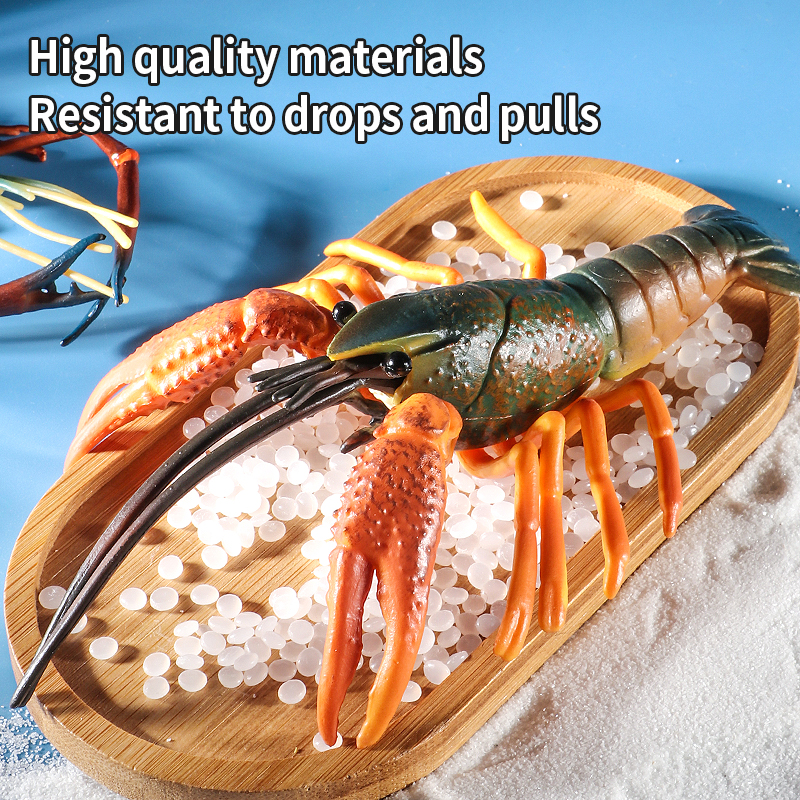 Sea Life Animals Boston Lobste - Marine Life Aquariums のレビューと価格