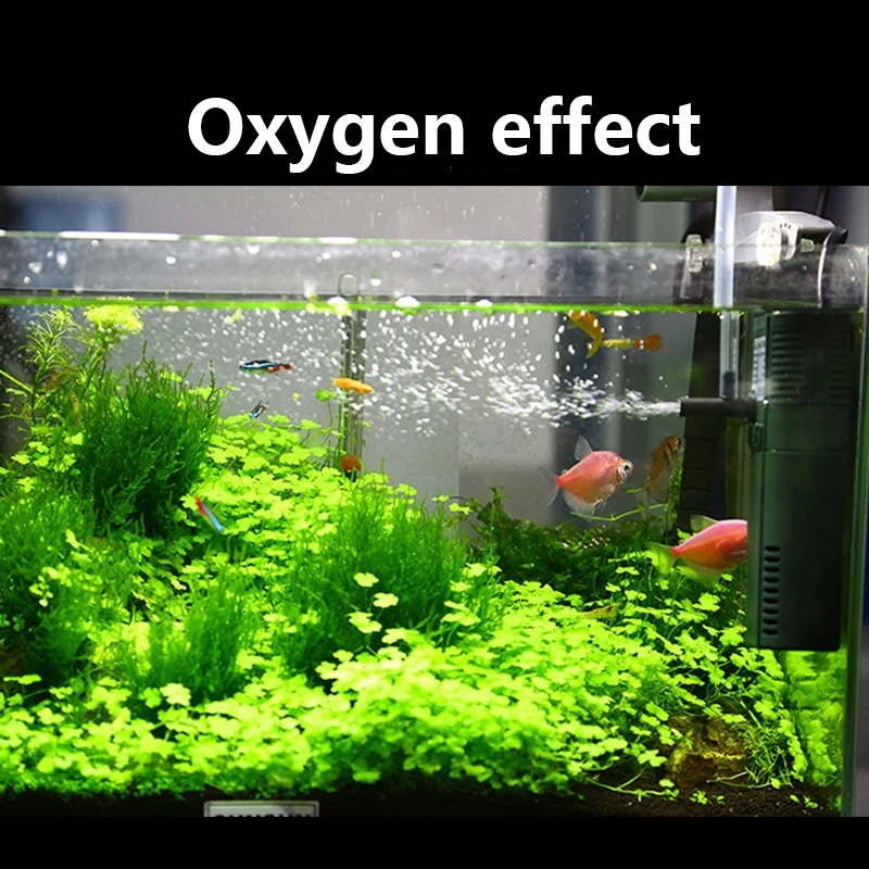 SUNSUN mini nano 111B 311B 611 - Aquarium Blue Marine Reef 60 のレビューと価格