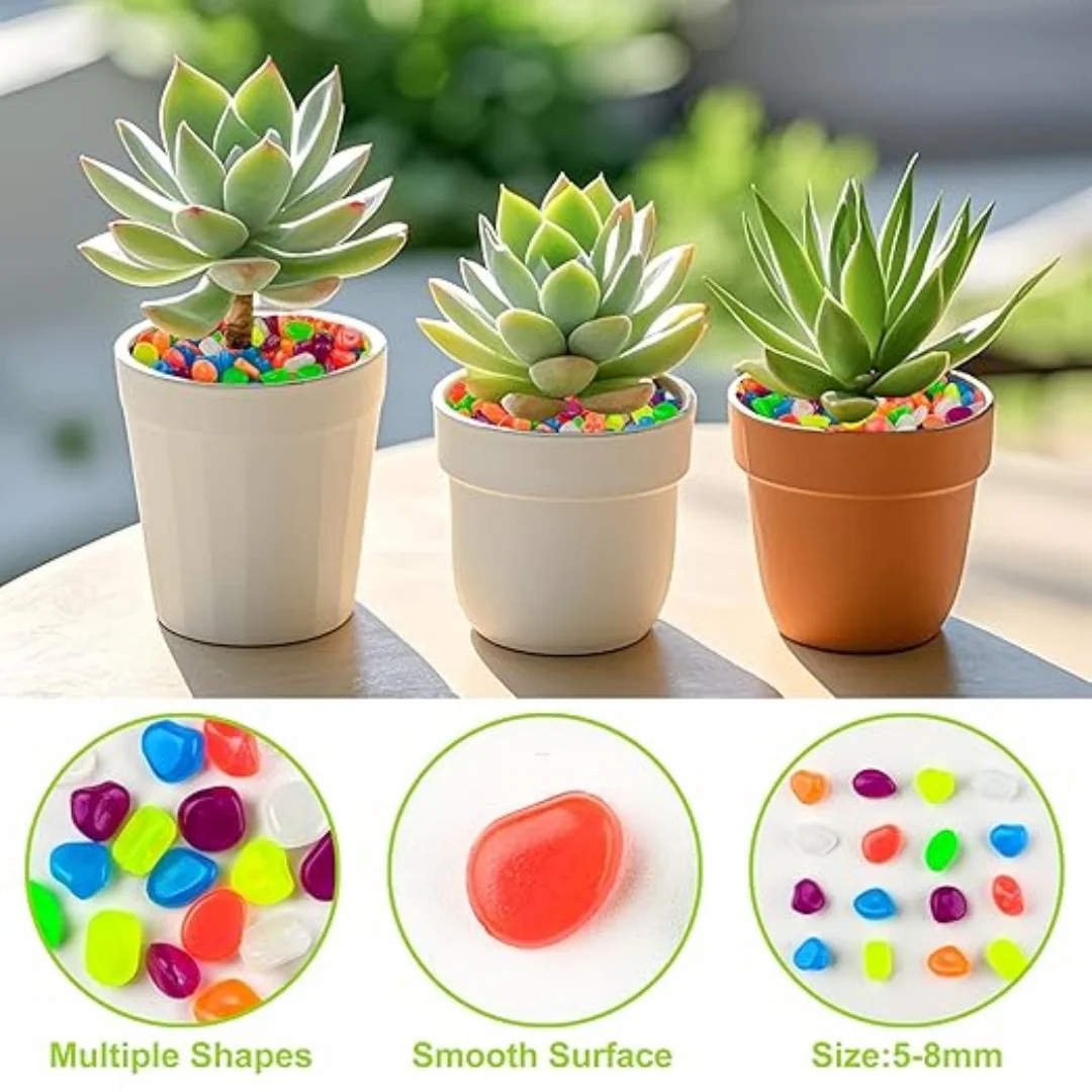 500Pcs Glow in The Dark Garden - Marine Aquarium Tanks のレビューと価格
