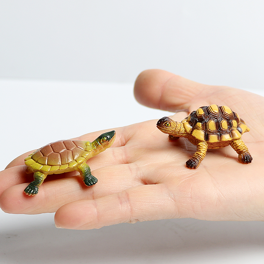 Realistic Miniatures Marine Li - Marine Life Aquariums のレビューと価格